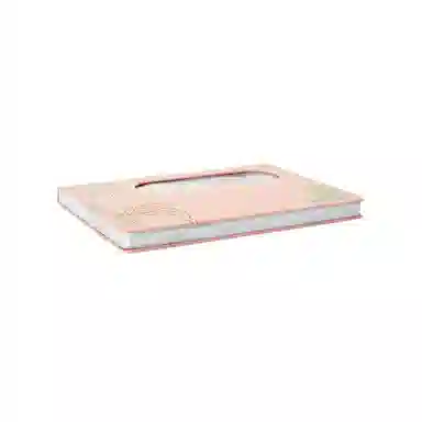 Disney x DISNEYLAND IP