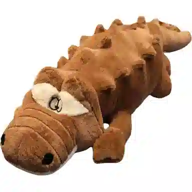 100cm120cm150cm170cm