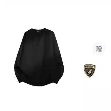 Automobili Lamborghini v