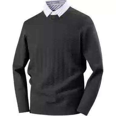 红豆 重磅厚款保暖高档提花针织衫衬衫领假两件秋冬打底衫上衣毛衣 男款