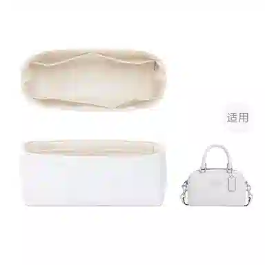 FANJI CoachSatchel 19