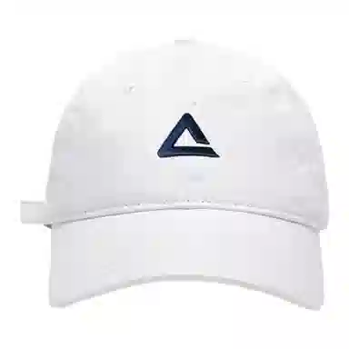 ins