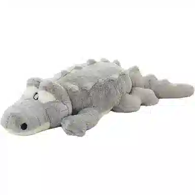 100cm120cm150cm170cm