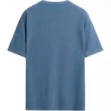 ZARA T