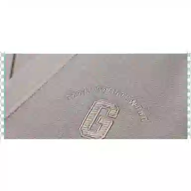 GANT V
