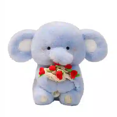 lionf 30cm