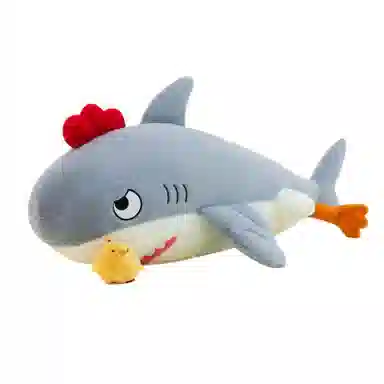 50cm