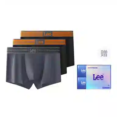 Lee 1.0 A10A 3