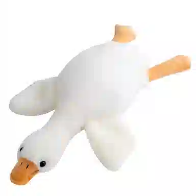 50cm90cm130cm160cm190cm
