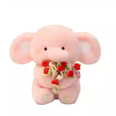 lionf 30cm