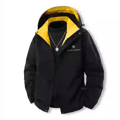 ins