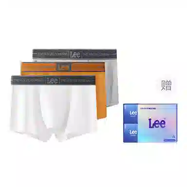 Lee 1.0 A10A 3