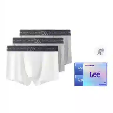Lee 1.0 A10A 3