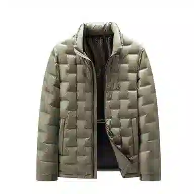 Pierre Cardin Down Jacket