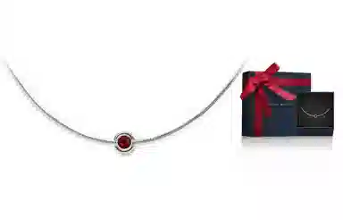 Daniel Wellington DW CHARMS 925