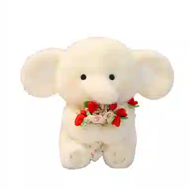 lionf 30cm