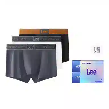 Lee 1.0 A10A 3