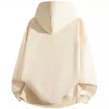 Cleanflogo