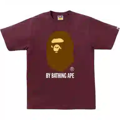 A BATHING APE FW25 T