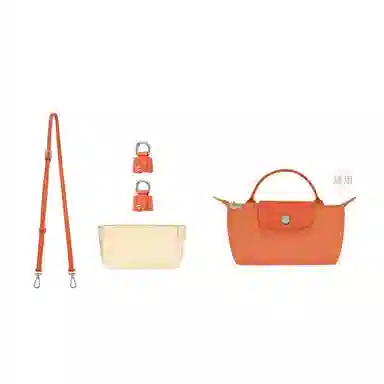 Longchamp Le Pliage Mini Crossbody Strap