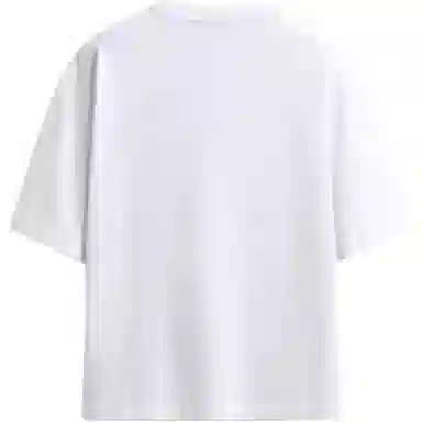 ZARA T
