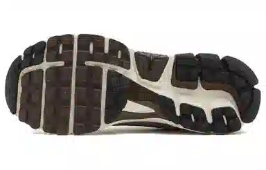 Nike Zoom Vomero 5 WMNS "Phantom"