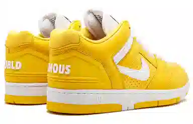 Supreme x Nike Air Force 2 SB Low