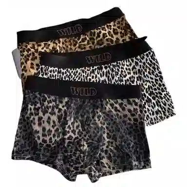 BANGBOY X IZTION 2025