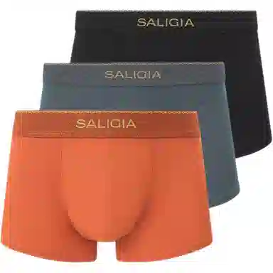 SALIGIA 3