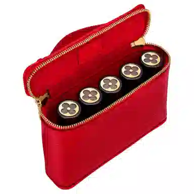 LOUIS VUITTON NICE BEAUTY EPI