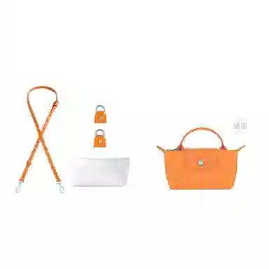 LongchampLe Pliage-17mini