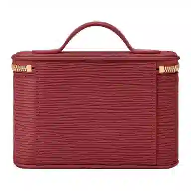 LOUIS VUITTON NICE BEAUTY EPI