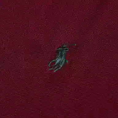 Polo Ralph Lauren Polo