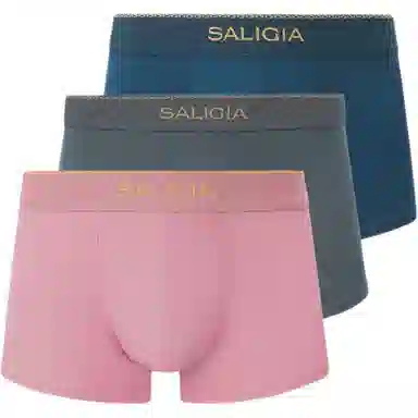 SALIGIA 3
