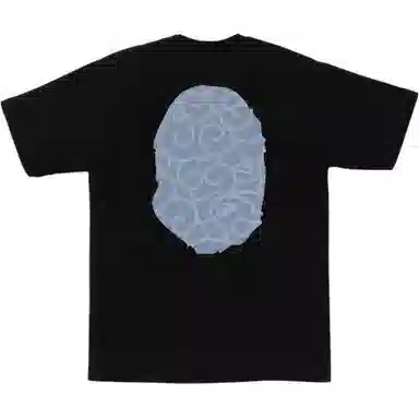 A BATHING APE FW25 T