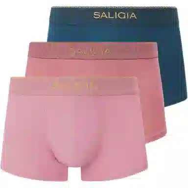 SALIGIA 3