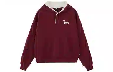 PCLP Mosaic Dog Hoodie