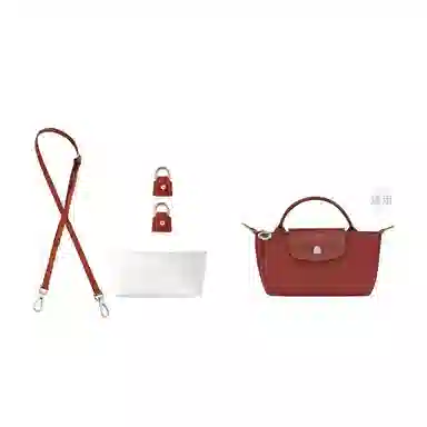 LongchampLe Pliage-17mini