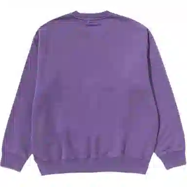 A BATHING APE FW25 FW25