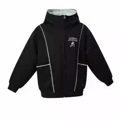 Automobili Lamborghini logo