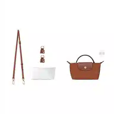 LongchampLe Pliage-17mini