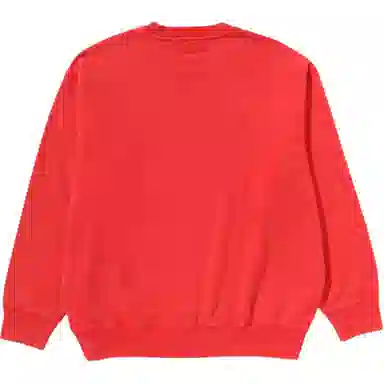 A BATHING APE FW25 FW25