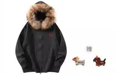 ALI THE FOX