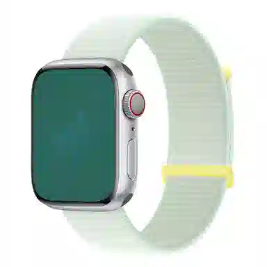 Apple Watch S10S9S8S7SE