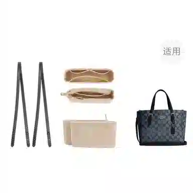jingxi mollie25coach