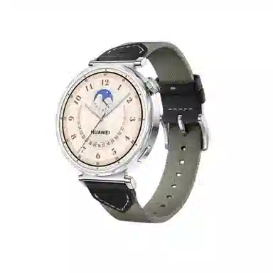 HUAWEIgt66prowatch