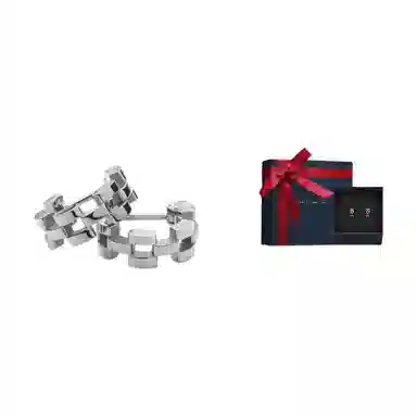 Daniel Wellington Chain Series Silver Earrings