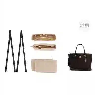 jingxi mollie25coach