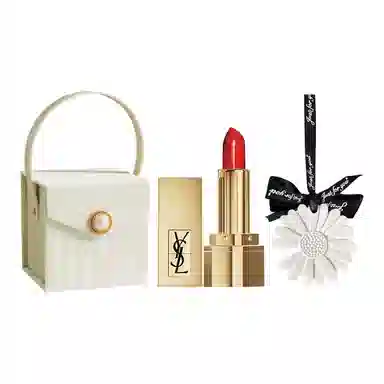 YSL 302314211966