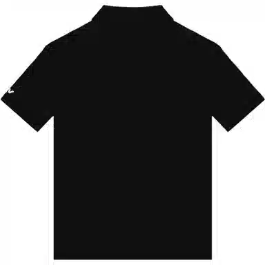 Under Armour LTDZ logo Polo